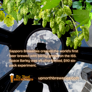 Sapporo Space Barley Beer