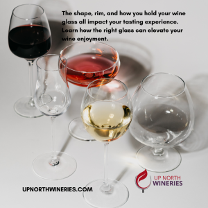 The Perfect Wine Glass