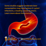 Some studies suggest moderate beer consumption may help reduce H. pylori infections, a leading cause of ulcers. Learn more about the science!